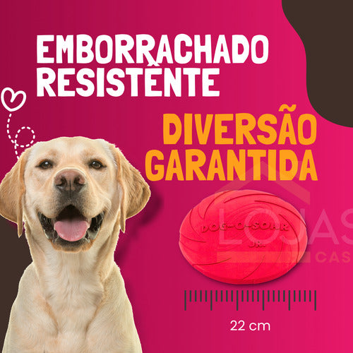 Disco Frisbee 22cm Borracha Brinquedo Cães Pets Lojas Casa