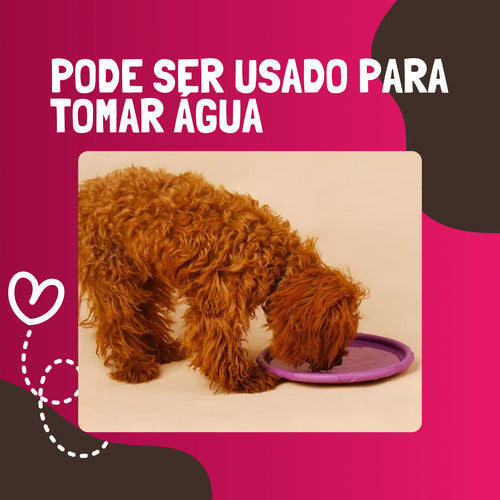 Disco Frisbee 22cm Borracha Brinquedo Cães Pets Lojas Casa