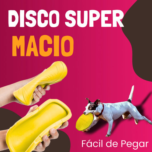 Disco Frisbee 22cm Borracha Brinquedo Cães Pets Lojas Casa