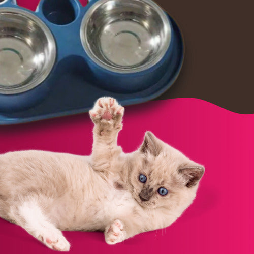 Comedouro E Bebedouro Com Petisqueira Cão/gato Tigelas Inox
