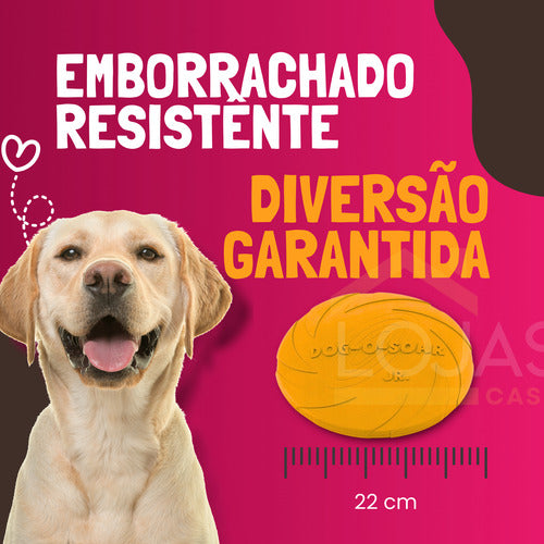 Disco Frisbee 22cm Borracha Brinquedo Cães Pets Lojas Casa