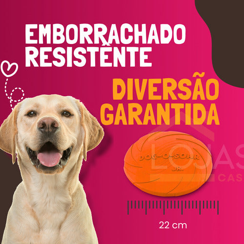 Disco Frisbee 22cm Borracha Brinquedo Cães Pets Lojas Casa