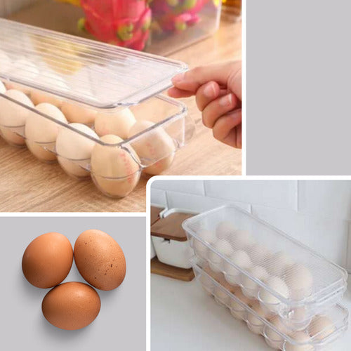 20 Placas Adesivas Pega Moscas E Pernilongo / Lojas Casa