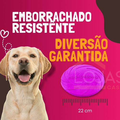 Disco Frisbee 22cm Borracha Brinquedo Cães Pets Lojas Casa