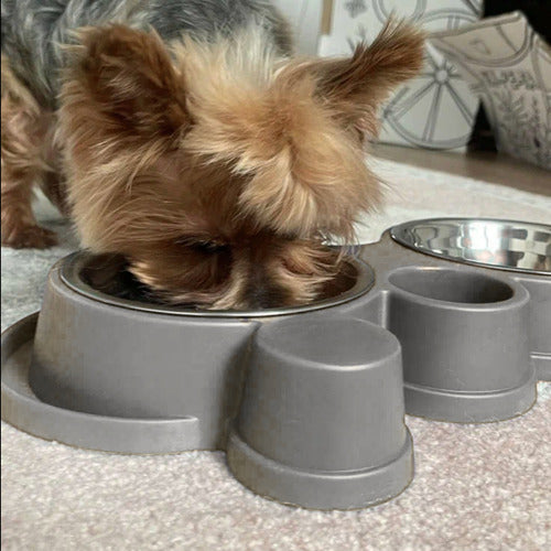 Comedouro E Bebedouro Com Petisqueira Cão/gato Tigelas Inox