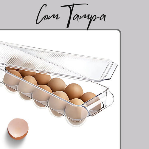 20 Placas Adesivas Pega Moscas E Pernilongo / Lojas Casa