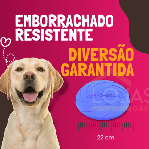 Disco Frisbee 22cm Borracha Brinquedo Cães Pets Lojas Casa