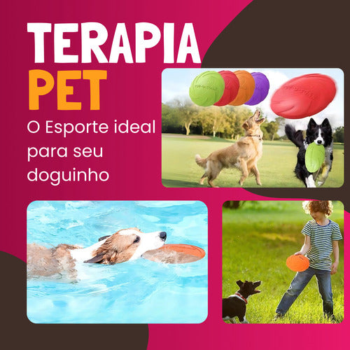Disco Frisbee 22cm Borracha Brinquedo Cães Pets Lojas Casa