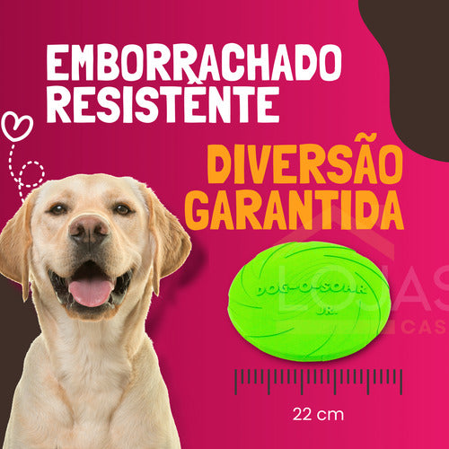 Disco Frisbee 22cm Borracha Brinquedo Cães Pets Lojas Casa